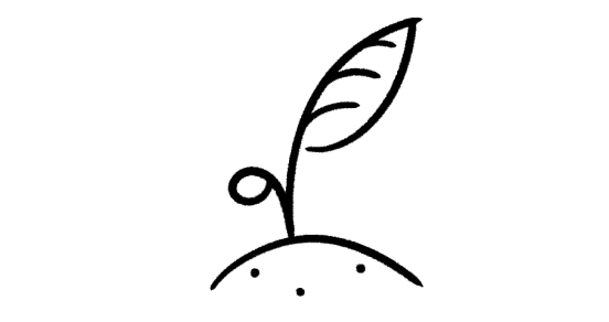 A seedling plant growing out of a mound of dirt.